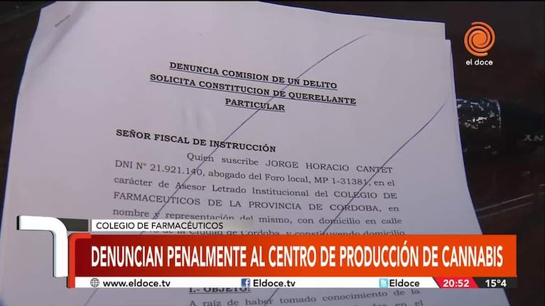 Denuncian penalmente al centro de producción de cannabis