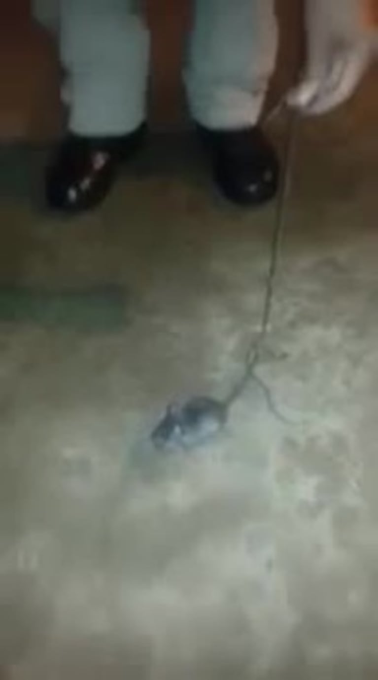 Video Placeholder