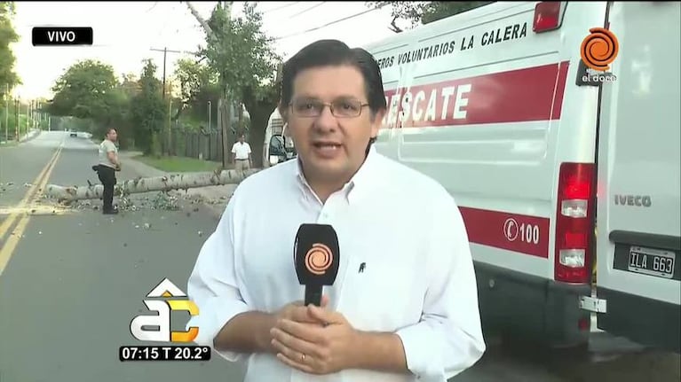 Cayó enorme árbol en Villa Warcalde