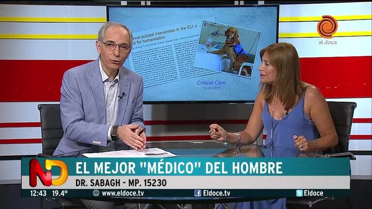 El valor de los perros como acompañantes terapéuticos