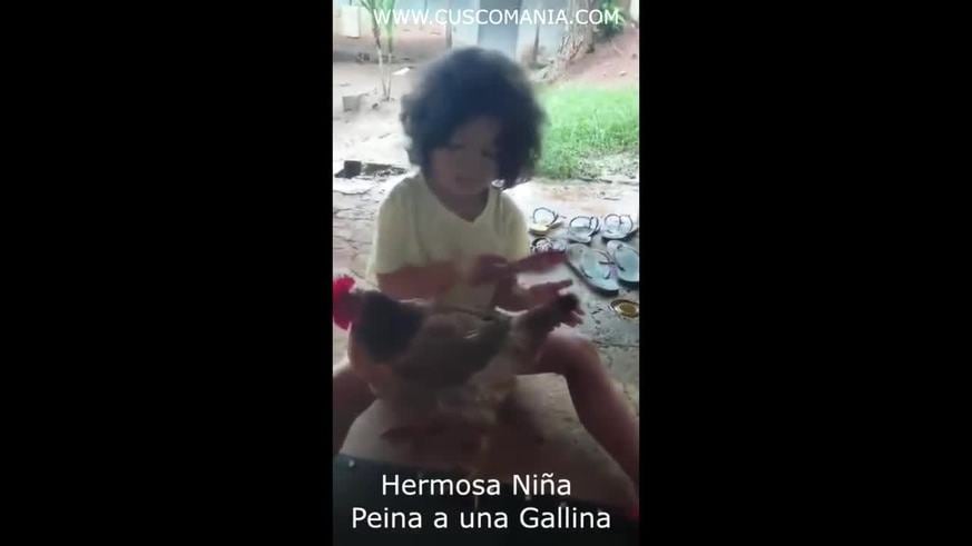 Una nena peina a una gallina