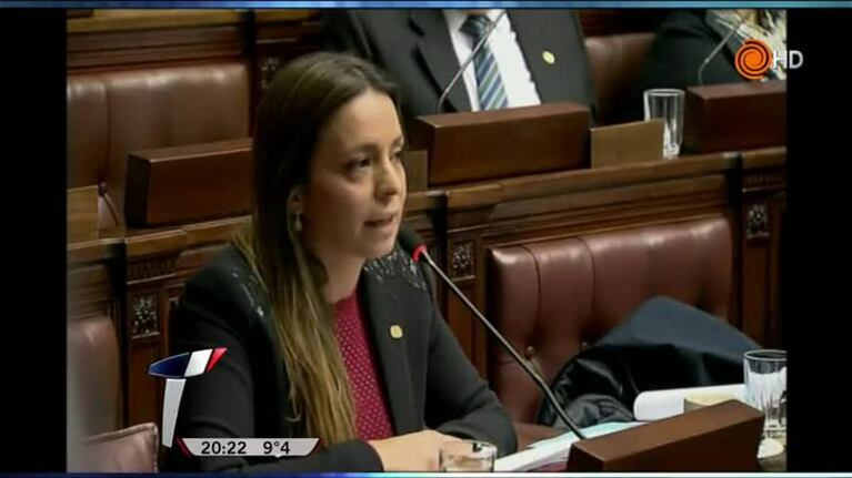 Zuvic denunció la "ruta del dinero K" en el Parlasur