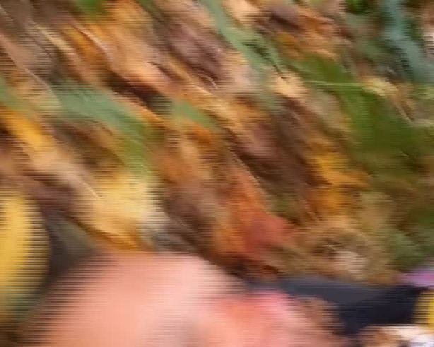 Se grabó despidiéndose en vez de llamar al 911