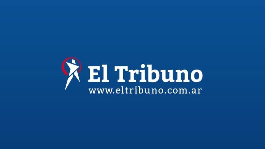 Encontraron en el patio de su casa un extraño arácnido