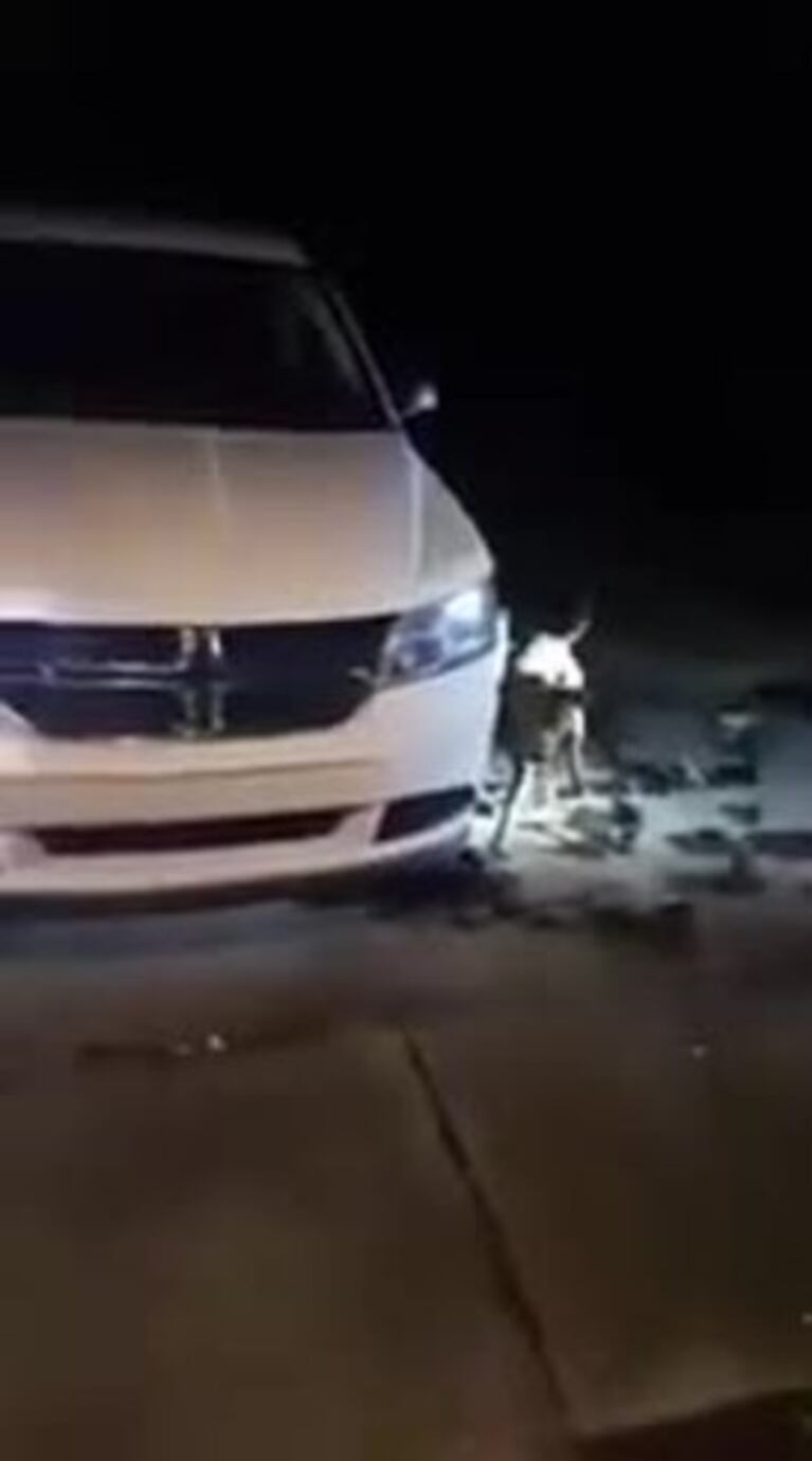 El perro que destruyó un auto