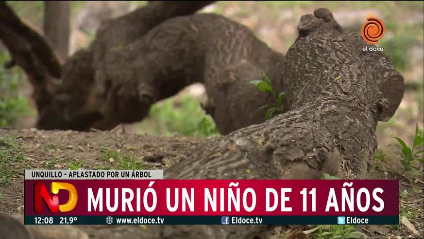 Tragedia en una excursión de scout