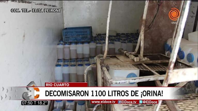 El testimonio de una donante de orina