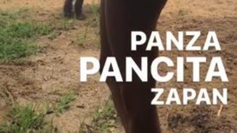 Natalie Pérez sorprendió con un video de su panza