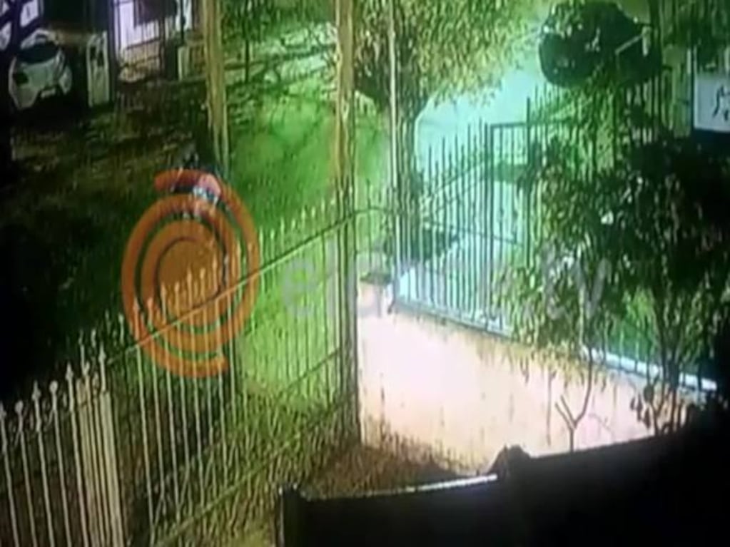 Un ladrón se llevó las rejas de una casa