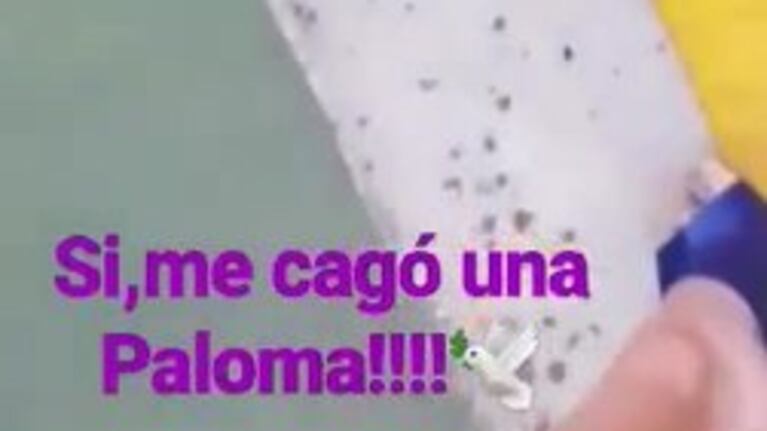 Nicole Neumann y su accidente