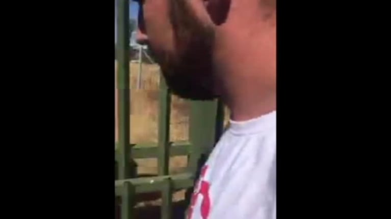 Feroz ataque: un león mordió a un rugbier