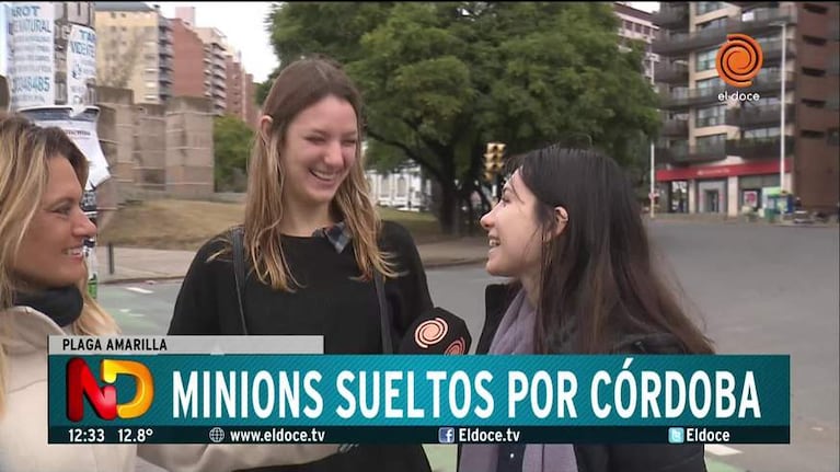 Los minions invadieron Córdoba