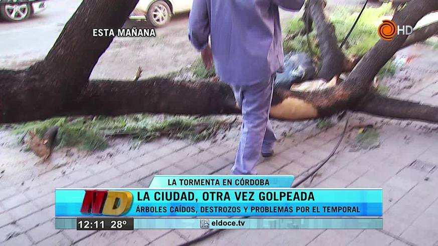 Los destrozos de la tormenta