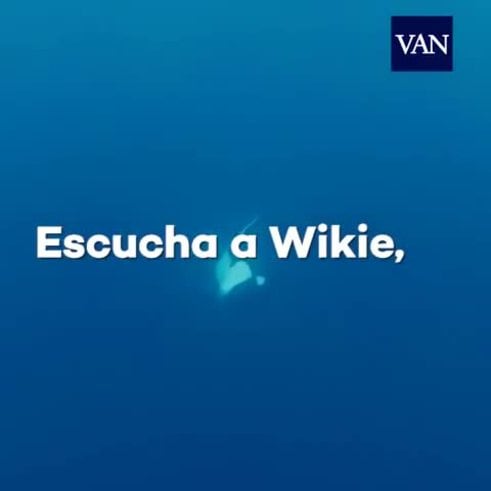 Wikie: la ballena que dice hola y adiós