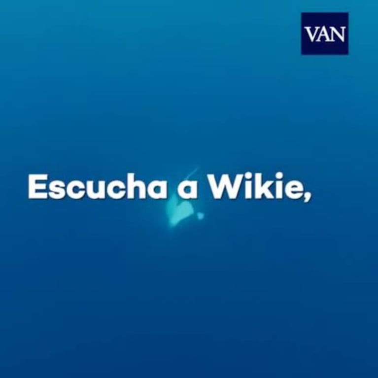 Wikie: la ballena que dice hola y adiós