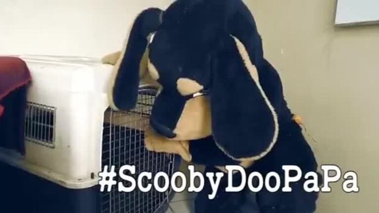 Policías bailaron el Scooby Doo PaPa