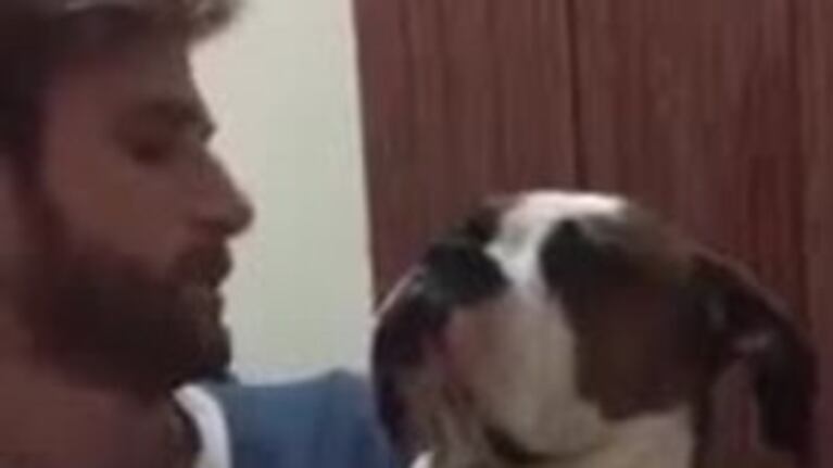 El perro Oscar que quiere viajar a México