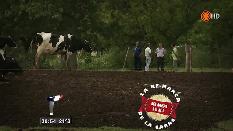 Del campo a la mesa: de los productores a los frigoríficos