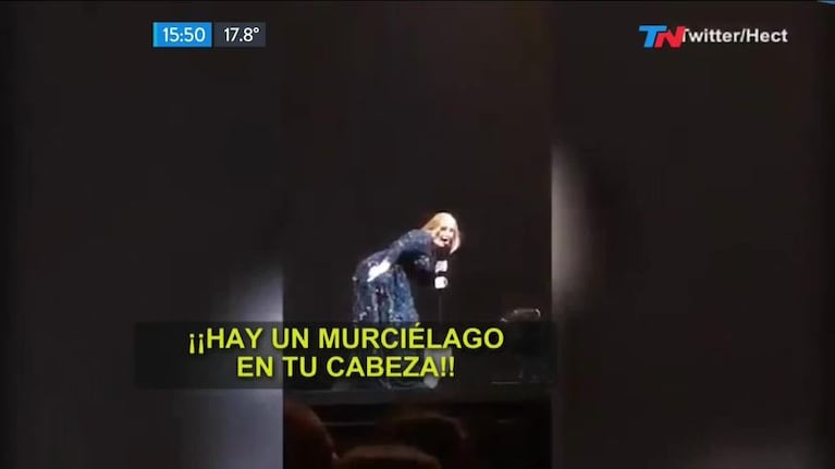 ¡Hay un murciélago! El susto de Adele en un show