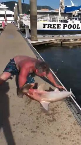 El "ataque" viral de un tiburón