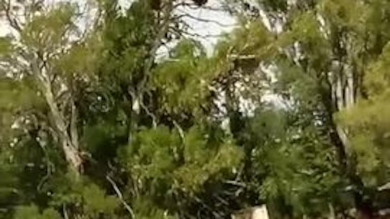La peligrosa crecida en un río serrano