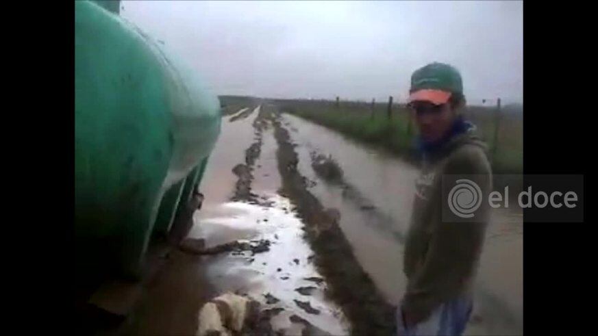 Inundación: productores tiraron la leche