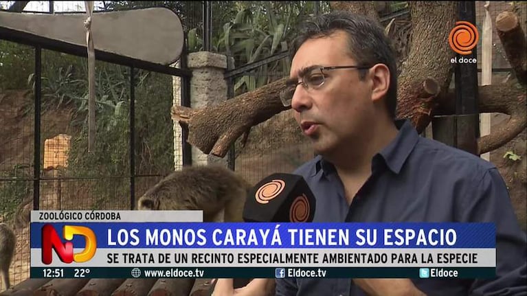 El Zoológico inauguró una reserva de monos carayá