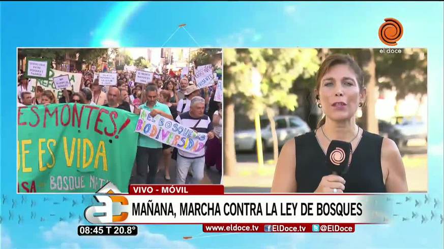 Marcha contra la ley de bosque