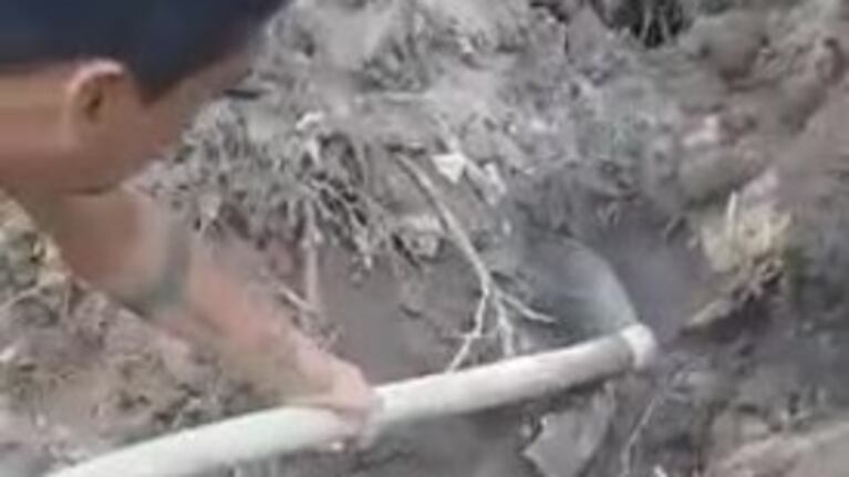 El rescate de un cachorro atrapado