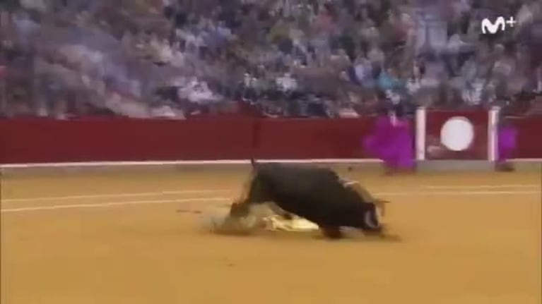 Torero recibió una cornada en la cara