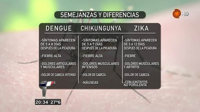 ¿Cuál es la diferencia entre zika, chikungunya y dengue?