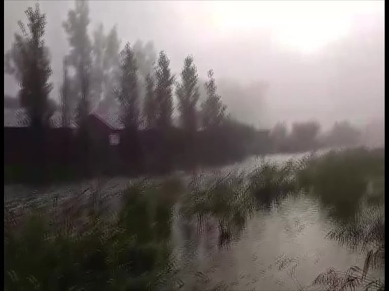 Video Placeholder