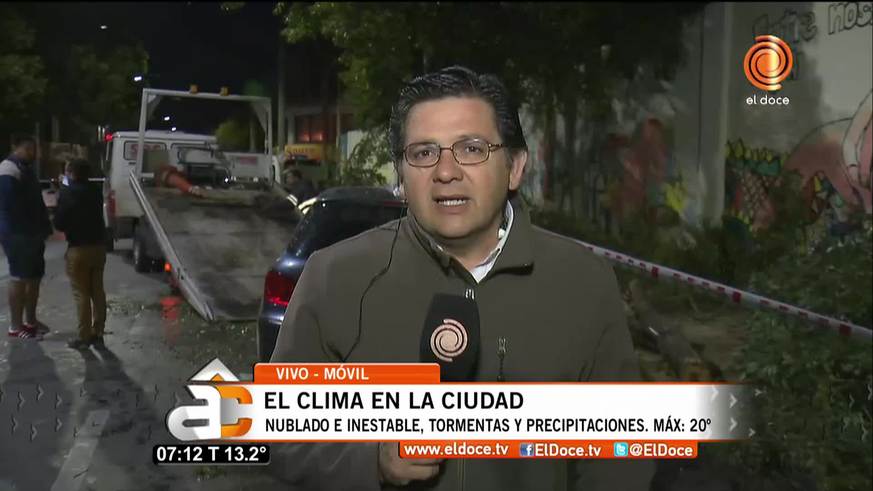 Un árbol cayó arriba de un auto en la avenida Juan B. Justo