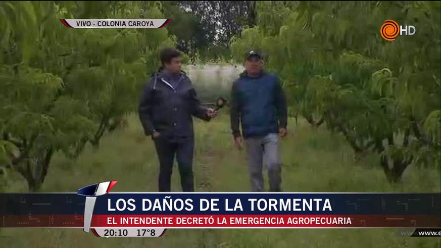 Colonia Caroya: decretaron emergencia agropecuaria