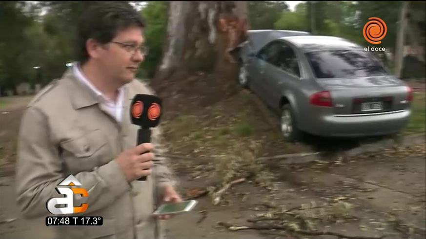 El conductor de un Audi se estampó contra un árbol