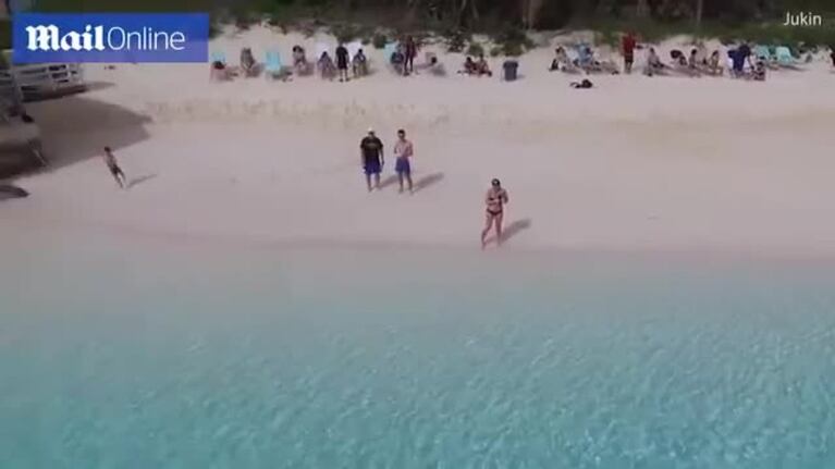 Un niño se salvó de ser atacado por los tiburones