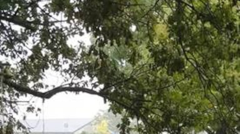 Se divirtieron jugando en un tobogán bajo la lluvia