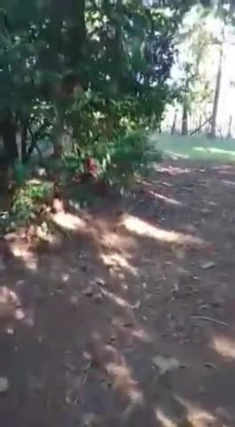 Video Placeholder