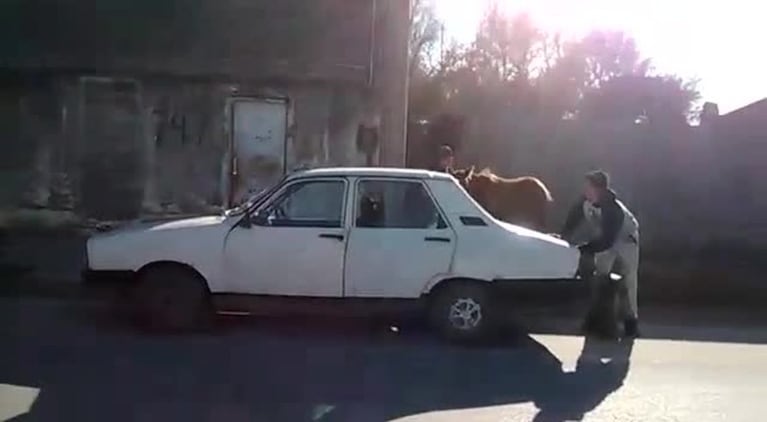 ¿Cómo meter un caballo adentro de un Renault 12?