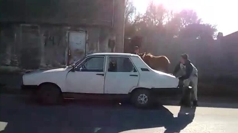 ¿Cómo meter un caballo adentro de un Renault 12?