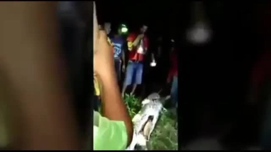 El video de la pitón que se tragó un hombre