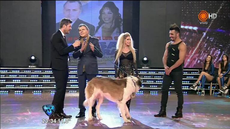 Mauricio entró en calor por la abogada hot