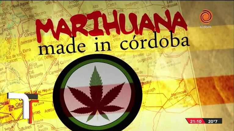 Los resultados del cannabis medicinal