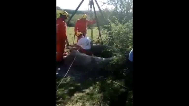 Emotivo rescate a un perro en Los Reartes