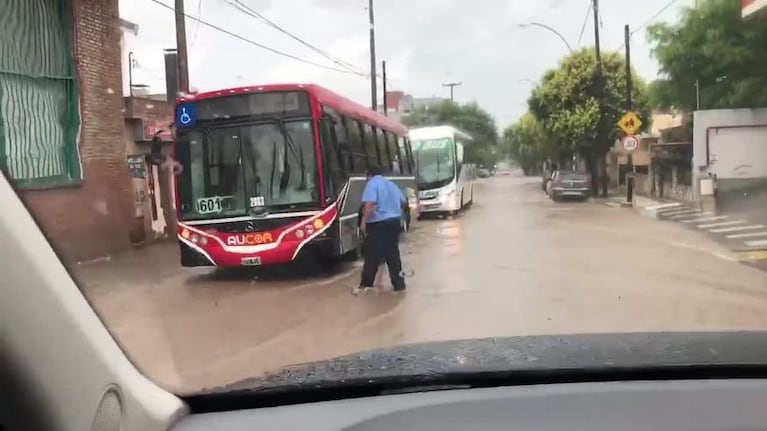 El chofer que bajó para ayudar a una anciana