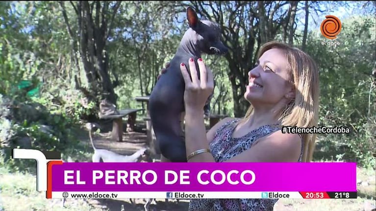 El perro de “Coco”, la historia detrás del animal