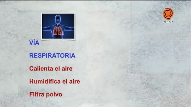 Doctor Sabagh: los daños que causa el aire acondicionado