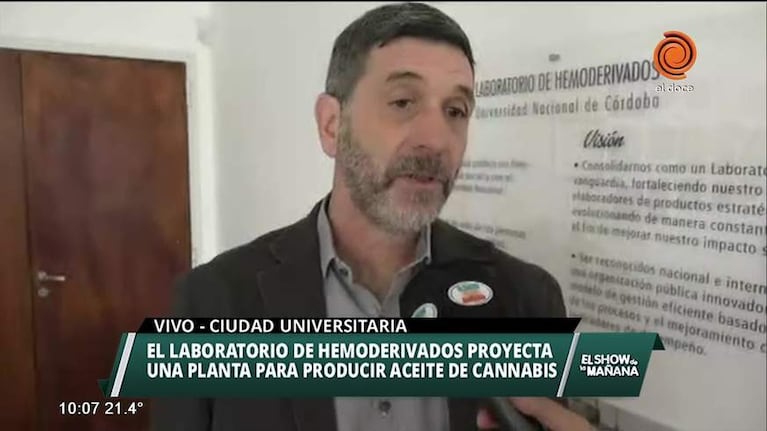 Hemoderivados producirá aceite de cannabis