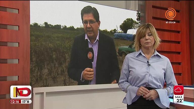 El campo ahora sufre las consecuencias de las lluvias