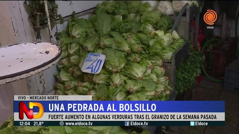 Fuerte aumento de las verduras